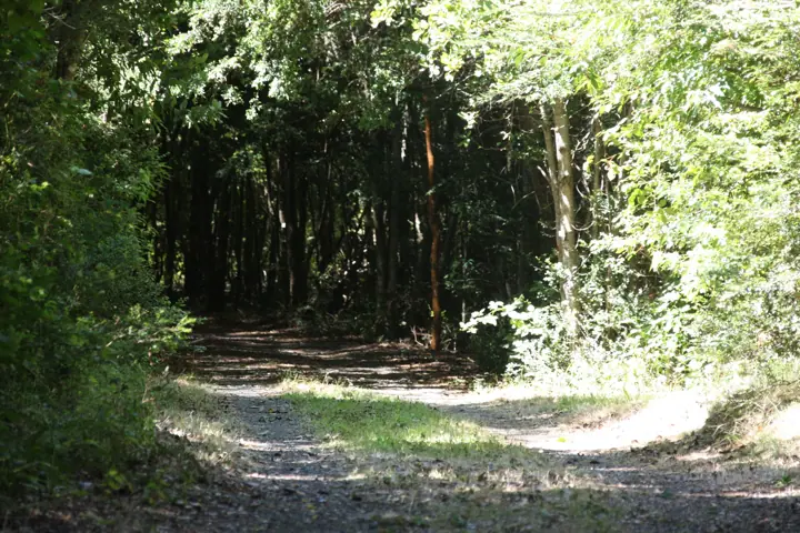 El parque · Kari Mapu Park, Pucón