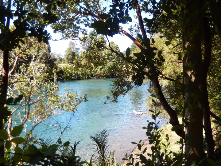 El parque · Kari Mapu Park, Pucón