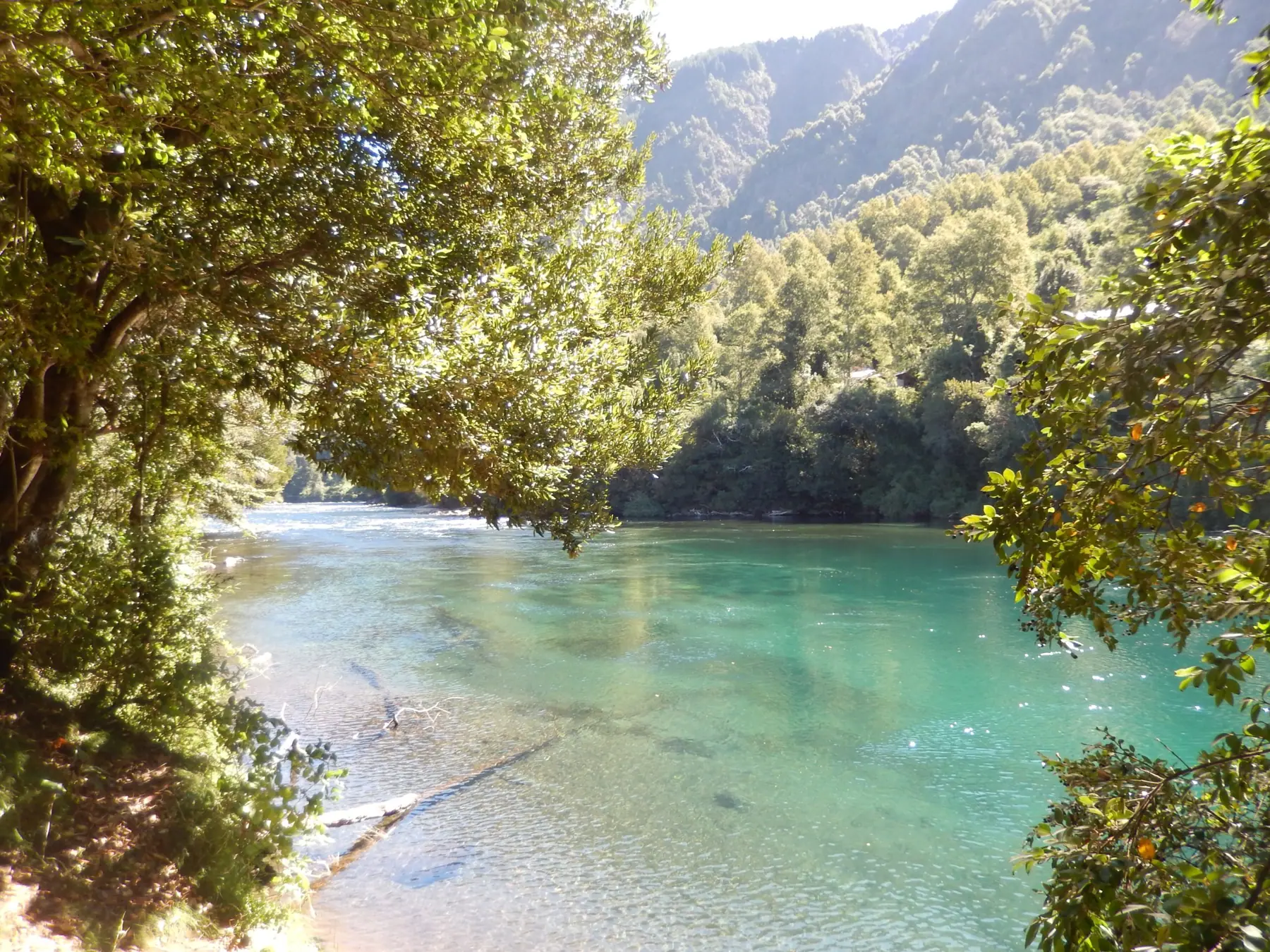 Cabañas Kari Mapu Park · río Liucura