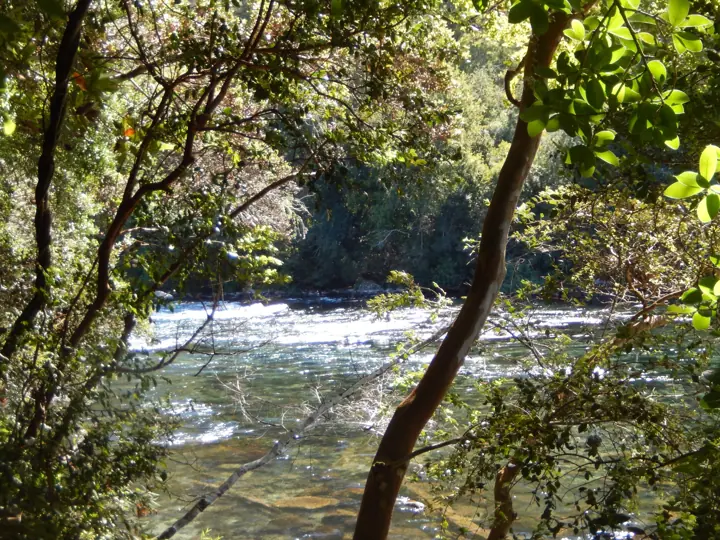 El parque · Kari Mapu Park, Pucón
