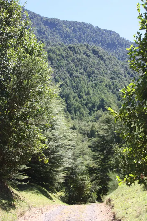 El parque · Kari Mapu Park, Pucón