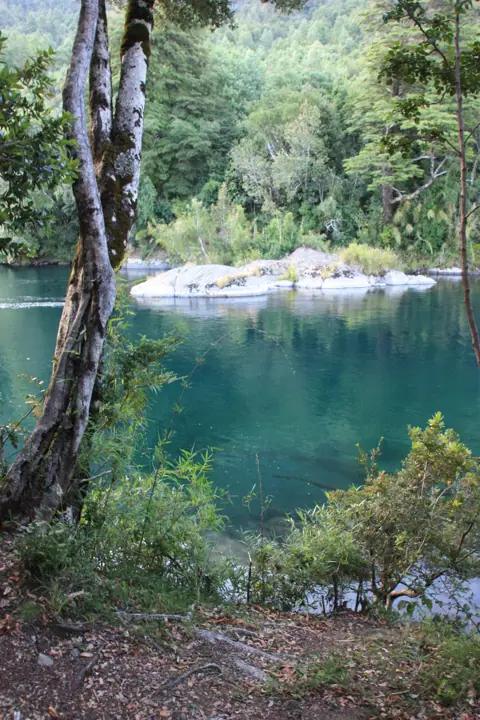 El parque · Kari Mapu Park, Pucón